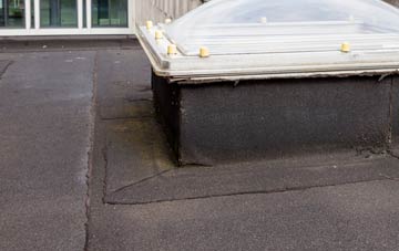 disadvantages of Copt Heath flat roofs