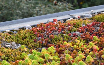 the cost of Copt Heath green roof installation