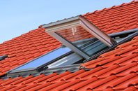 Copt Heath roof window